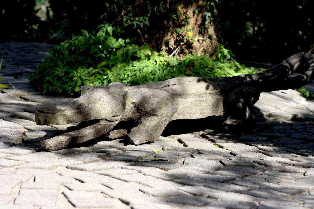 Badger'S Lodge นิสนา ภายนอก รูปภาพ