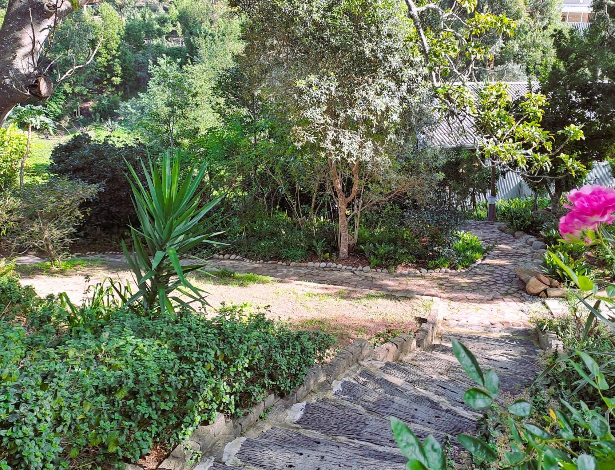 Badger'S Lodge นิสนา ภายนอก รูปภาพ